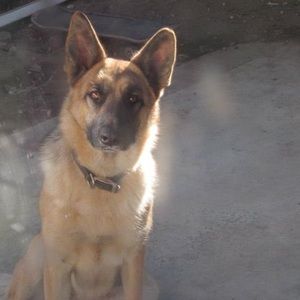 Meet your Posher, Mario